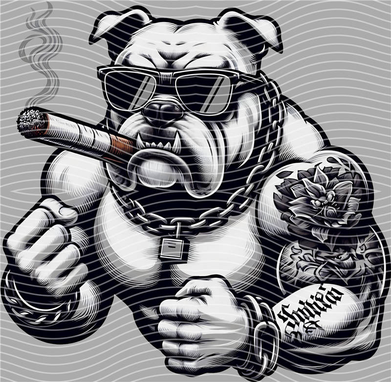 SCARFACE-SF 292